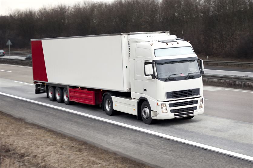 Transport krajowy i międzynarodowy produktów chłodniczych, DMP Frigo Trans Damian Piętka, Mariusz Piętka s.c., Mienia